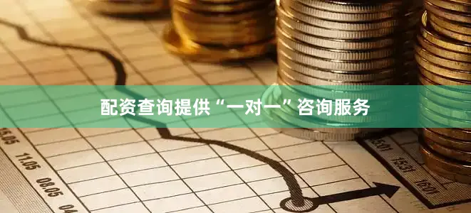 配资查询提供“一对一”咨询服务