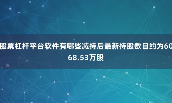 股票杠杆平台软件有哪些减持后最新持股数目约为6068.53万股